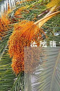 法院辅警着装图 法院辅警着装图