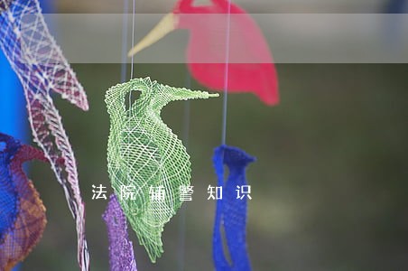 法院辅警知识 法院辅警知识