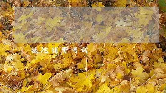 法院辅警考试 法院辅警考试