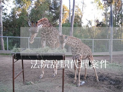 法院辞职代理案件