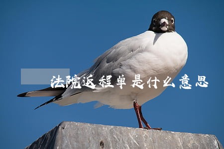 法院返程单是什么意思 法院返程单是什么意思
