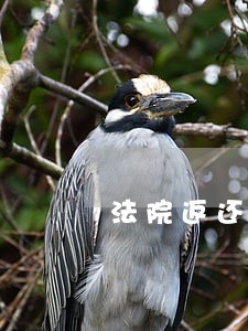 法院返还原物执行法律规定 法院返还原物执行法律规定