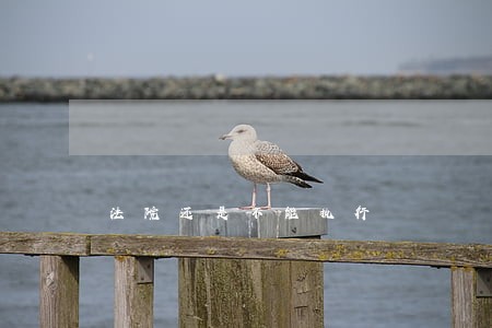 法院还是不能执行 法院还是不能执行