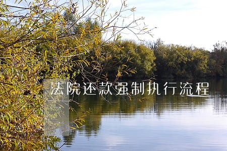 法院还款强制执行流程 法院还款强制执行流程