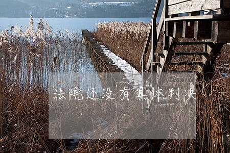 法院还没有具体判决 法院还没有具体判决