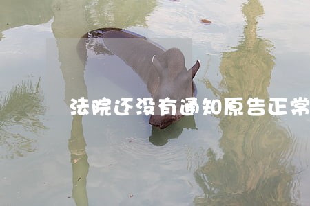 法院还没有通知原告正常吗 法院还没有通知原告正常吗