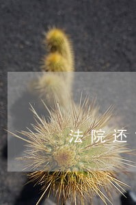 法院还能执行多少年 法院还能执行多少年
