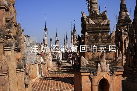 法院还能撤回拍卖吗 法院还能撤回拍卖吗