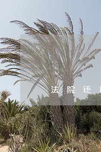 法院还退给我不 法院还退给我不