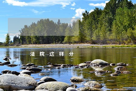法院这样分 法院这样分