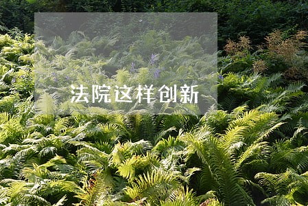 法院这样创新