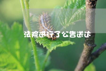 法院进行了公告送达 法院进行了公告送达