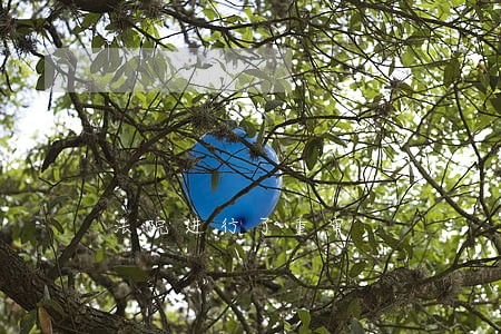 法院进行了重审 法院进行了重审