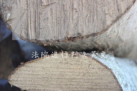 法院进行判决英文 法院进行判决英文