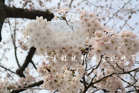 法院远程视频开庭软件下载 法院远程视频开庭软件下载