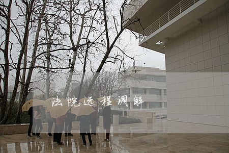 法院远程调解 法院远程调解