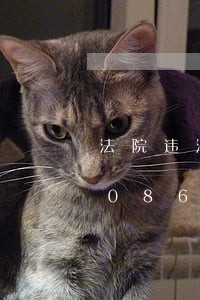 法院违法作出行政裁决咋办/2023020861235 法院违法作出行政裁决咋办/2023020861235