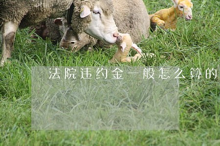 法院违约金一般怎么算的 法院违约金一般怎么算的