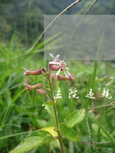 法院违规操作向什么部门投诉 法院违规操作向什么部门投诉