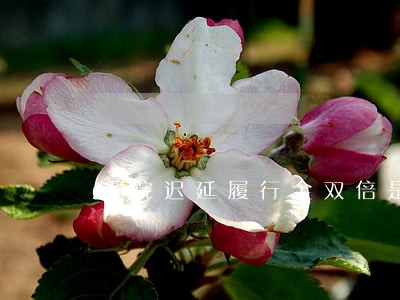 法院迟延履行金双倍是多少 法院迟延履行金双倍是多少