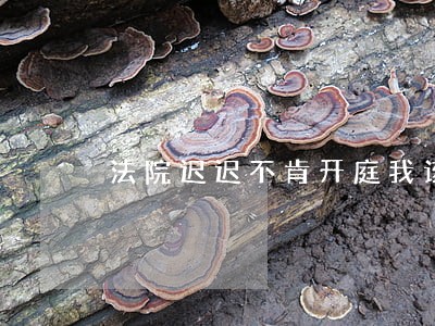 法院迟迟不肯开庭我该怎么办