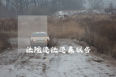 法院述法述廉报告 法院述法述廉报告