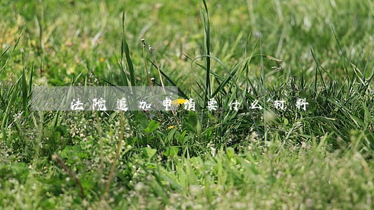 法院追加申请要什么材料 法院追加申请要什么材料