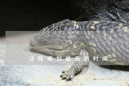 法院追加被告的时间 法院追加被告的时间