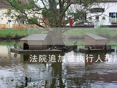 法院追加被执行人程序