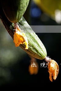 法院追诉期时间为几年 法院追诉期时间为几年