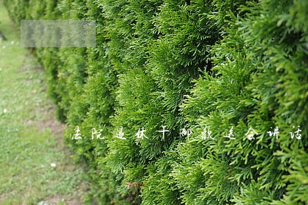法院退休干部欢送会讲话稿 法院退休干部欢送会讲话稿