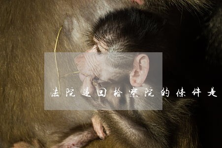 法院退回检察院的条件是什么
