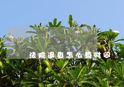 法院退查怎么算时间 法院退查怎么算时间