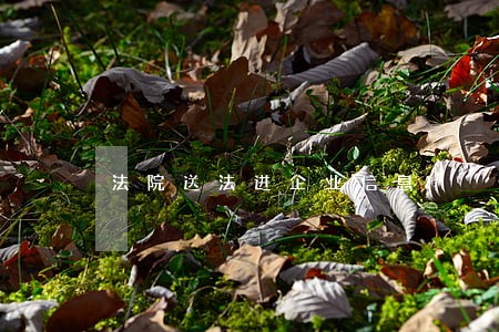 法院送法进企业信息 法院送法进企业信息