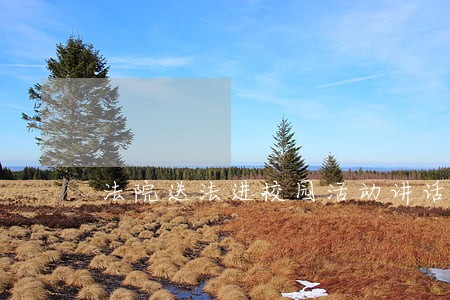 法院送法进校园活动讲话稿 法院送法进校园活动讲话稿