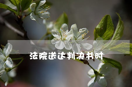 法院送达判决书时 法院送达判决书时