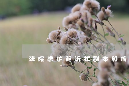 法院送达起诉状副本和传票了 法院送达起诉状副本和传票了