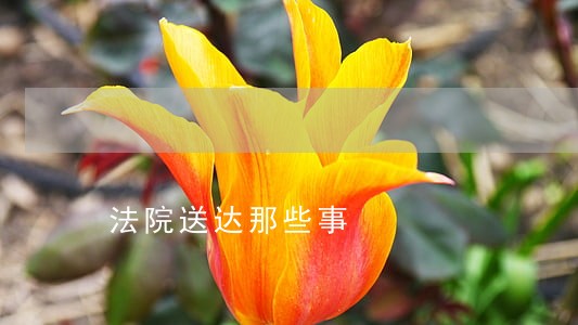 法院送达那些事