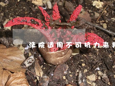 法院适用不可抗力来判决