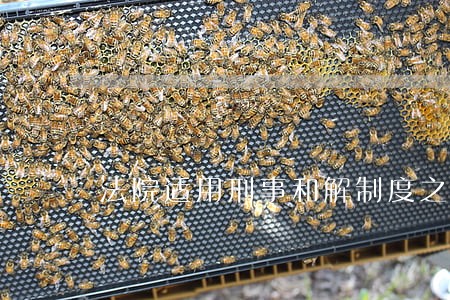 法院适用刑事和解制度之研究 法院适用刑事和解制度之研究