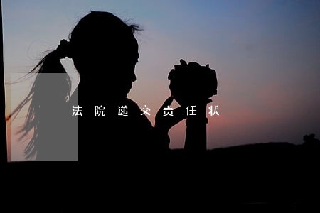 法院递交责任状 法院递交责任状