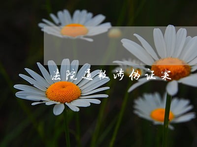 法院通报涉伪证案 法院通报涉伪证案