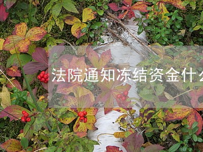 法院通知冻结资金什么意思 法院通知冻结资金什么意思