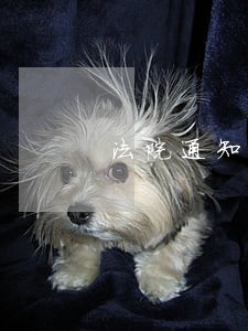 法院通知宣判带个身份证
