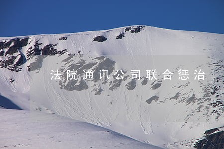 法院通讯公司联合惩治