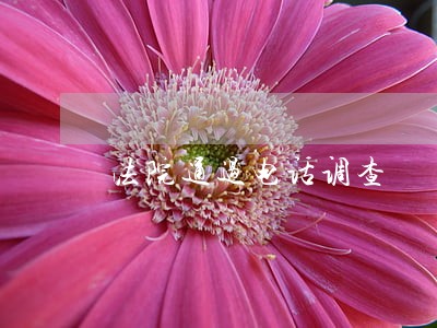法院通过电话调查 法院通过电话调查