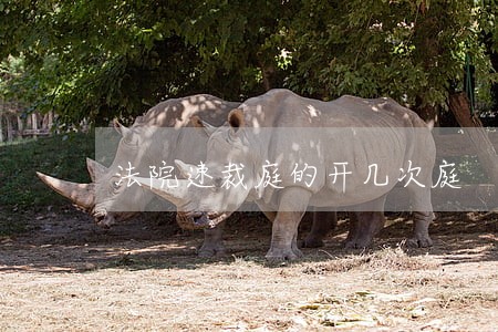 法院速裁庭的开几次庭