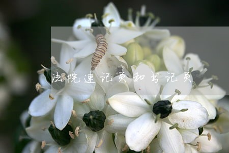 法院速记员和书记员 法院速记员和书记员