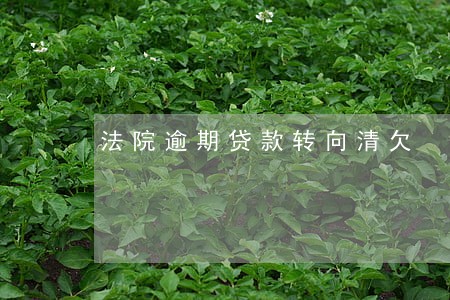 法院逾期贷款转向清欠 法院逾期贷款转向清欠