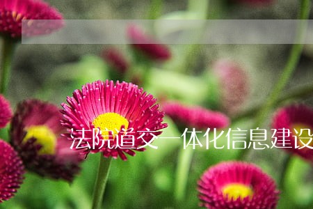 法院道交一体化信息建设